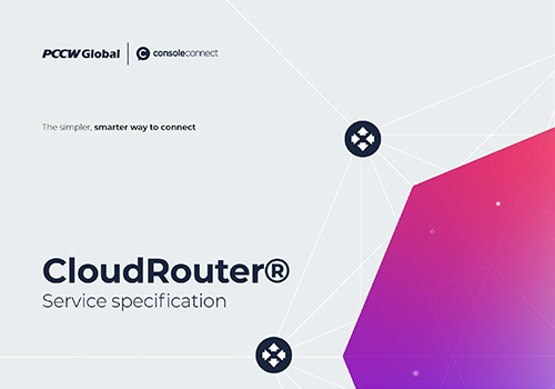 Console Connect CloudRouter® | Download Service Specification